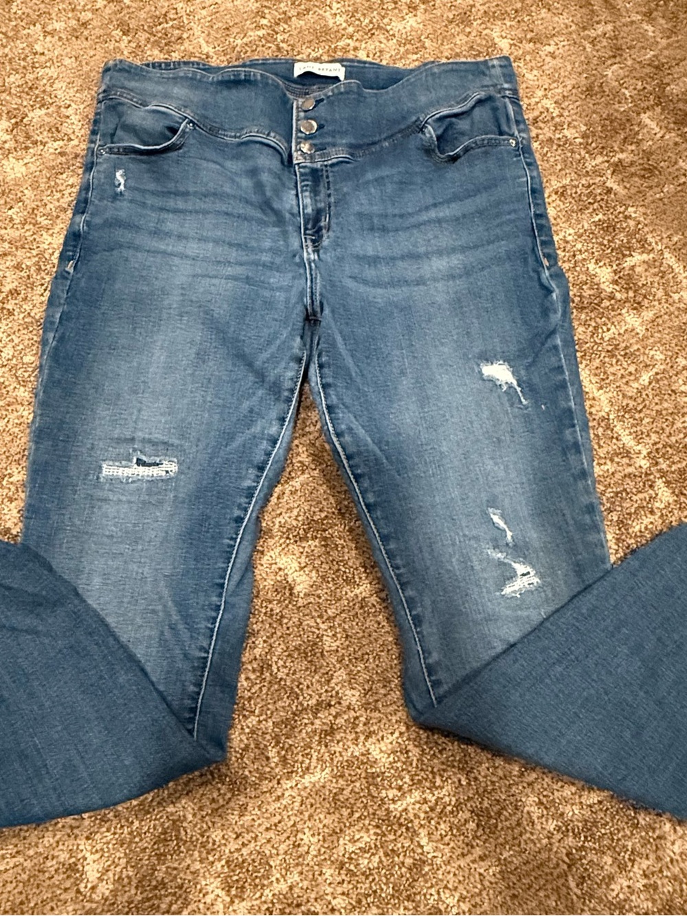 Lane Bryant Women’s Skinny Jeans - Medium Blue Wash with Distressing